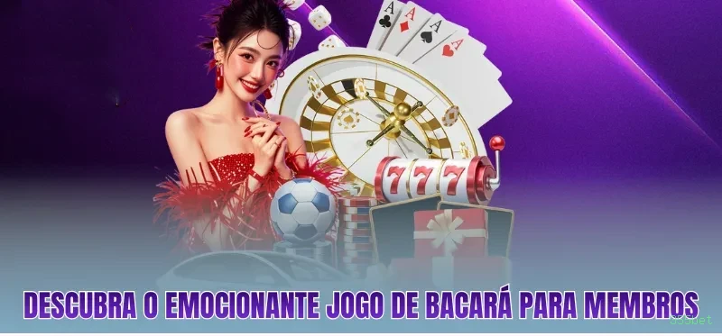 Cassino 355bet app mobile